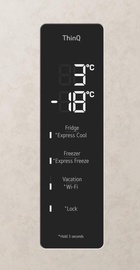 LG GC-B509FEMW