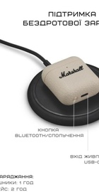 Marshall Minor IV Cream (1007875)