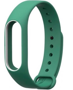 Xiaomi Mi Band 2 Dark Green/White