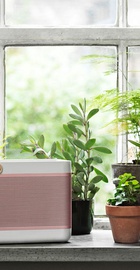 Bang&Olufsen Beolit 15 Shaded Rosa
