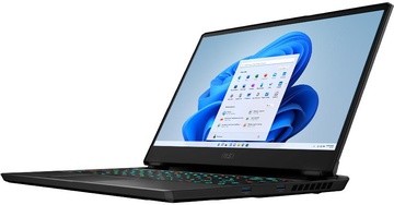 MSI Vector GP66 12UHSO (GP6612UHSO-654)