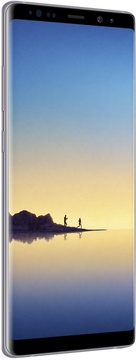 Samsung Galaxy Note 8 64GB (SM-N950FZVD) Orchid Gray