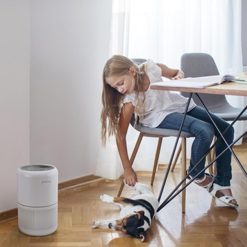 Levoit Air Purifier Core P350 Pet Care (HEAPAPLVNEU0035)