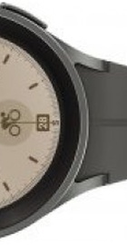 Samsung Galaxy Watch5 Pro 45mm Gray Titanium (SM-R920NZTA)