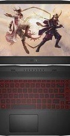 MSI Katana GF66 11UE (GF66 11UE-491XPL)