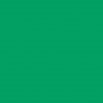 Savage Photowide Tech Green 3.60m x 30m