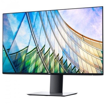 Dell UltraSharp U2419H (210-AQYU)