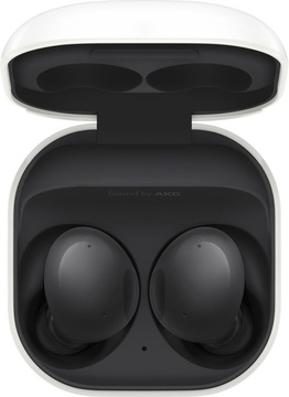 Samsung Galaxy Buds2 Graphite (SM-R177NZKA)