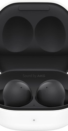 Samsung Galaxy Buds2 Graphite (SM-R177NZKA)