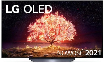 LG OLED65B1