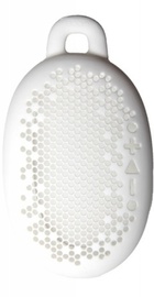 Boom Urchin Skin White