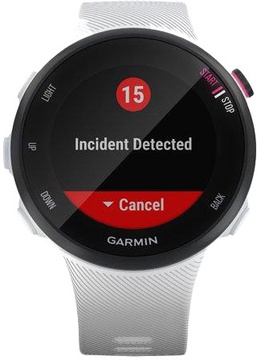 Garmin Forerunner 45s White (010-02156-10)