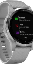 Garmin vivoactive 4S Powder Gray/Silver (010-02172-03)