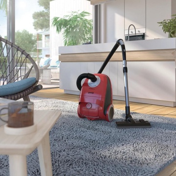 Gorenje VCEA21GPLRCY