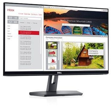 Dell SE2419H (210-AQOK)