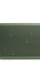 Bang&Olufsen BeoPlay A2 Green