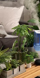 Levoit Classic 300S Ultrasonic Smart Blue (HEAPHULVSEU0048)