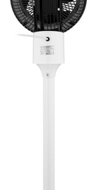 ARDESTO FNT-C880