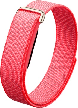 Google Fitbit Air Berry
