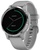 Garmin vivoactive 4S Powder Gray/Silver (010-02172-03)
