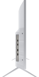 Kivi 24H600WU