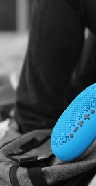 Boom Urchin Blue