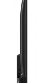 TCL 50P638