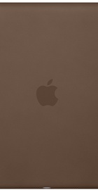 Apple iPad Air 2 Smart Case Olive Brown (MGTR2)