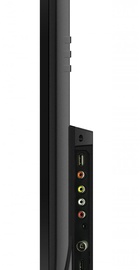 TCL 55DP600
