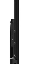 Thomson 50QG4S14