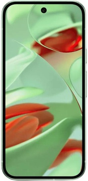 Google Pixel 9 12/256GB Wintergreen
