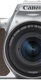 Canon EOS 250D kit (18-55mm) EF-S IS STM Silver (3461C003)