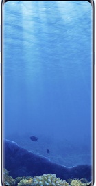 Samsung Galaxy S8 Plus 64Gb G955FD Coral Blue
