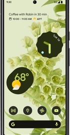 Google Pixel 6 8/256GB Sorta Seafoam