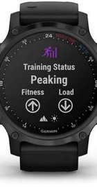 Garmin Descent Mk2S Carbon Grey with Black Silicone Band (010-02403-04) (UA)