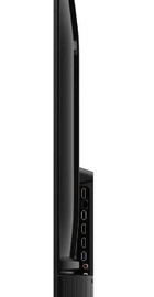 TCL 55P6K