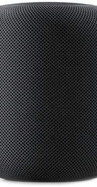 Apple HomePod Space Gray (MQHW2)