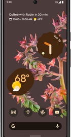 Google Pixel 6 8/128GB Stormy Black