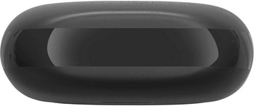 JBL Endurance Race Black (JBLENDURACEBLK)