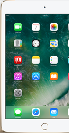 Apple iPad mini 4 Wi-Fi + Cellular 32GB Gold (MNWR2, MNWG2)