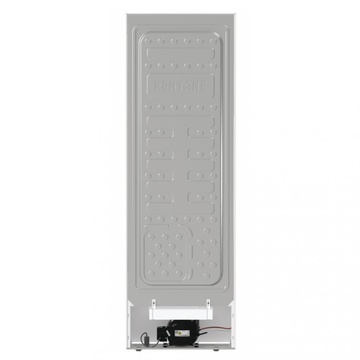 Gorenje FN619EEW5