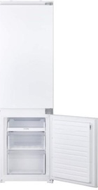 Eleyus RDB 2177 SM