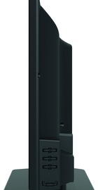 Manta 24LFN38L