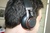Jabra Revo Wireless Black
