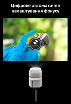 Wanbo T6 Max