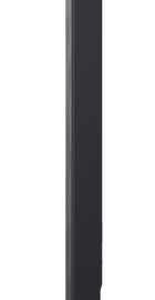 LG OLED42C54LA