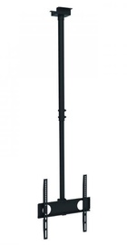 iTech CELB 44R