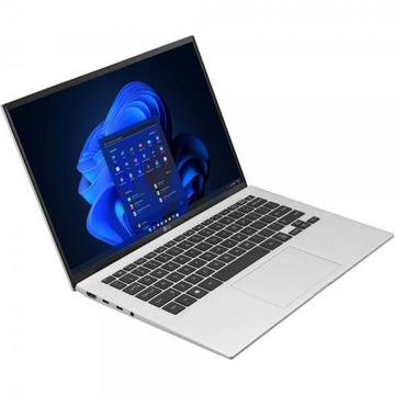 LG Gram 14 (14Z90P-G.AA89G)