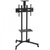 iTech T1028B