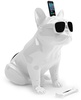 Jarre AeroBull HD Glossy White